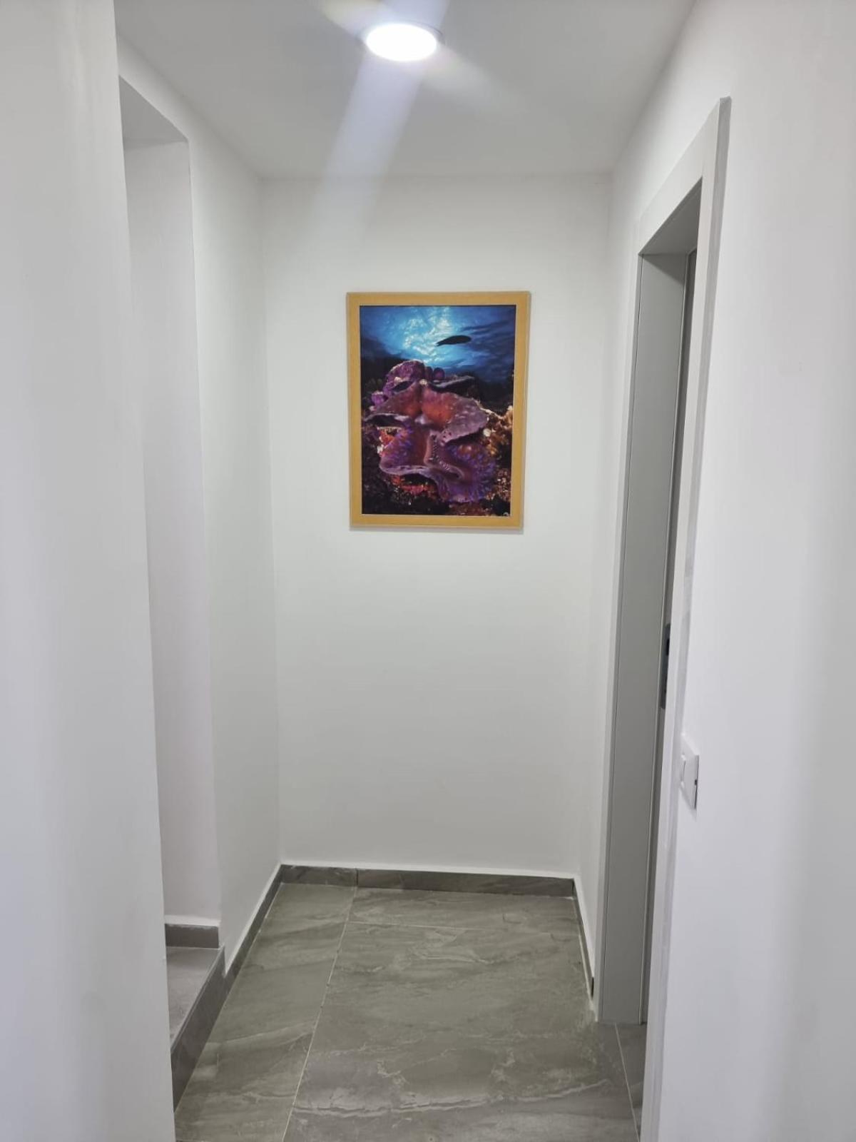 דירת גג נוף המפרץ 1105-6 Apartment Eilat Exterior photo